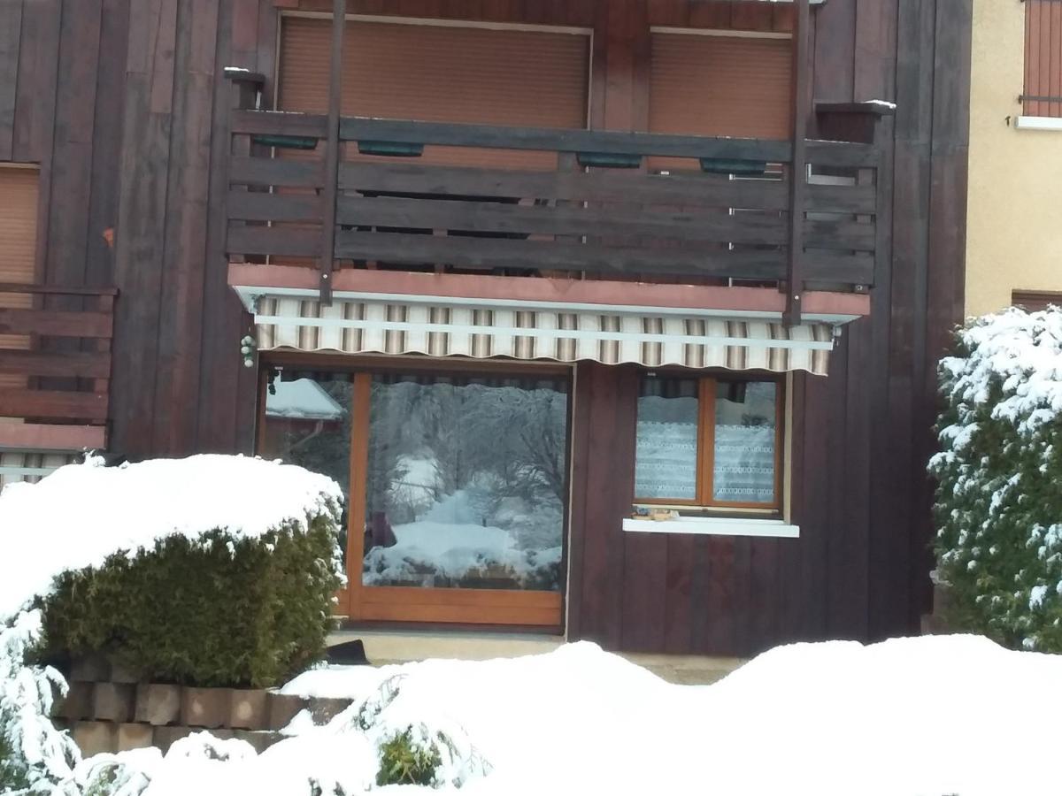 Charmant Duplex De 45M², 2 Chambres, Jardin, Garage, Villard-De-Lans - Fr-1-515-51 מראה חיצוני תמונה